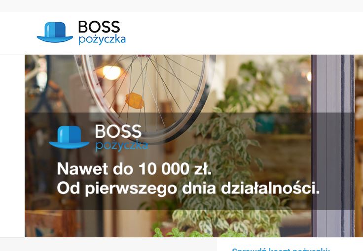 Wymagania Boss pożyczka