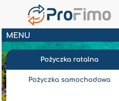 Profimo